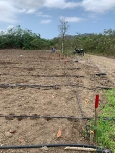 conjunto privado Rosas del Valle